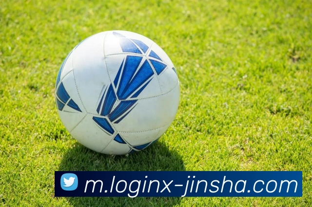 金沙娱乐APP 封面图